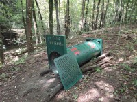 bear trap bear trap