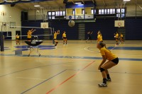 V-BallWebsite