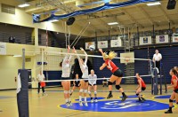 SportsWeb1 SportsWeb1