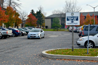 DSC_0778 web