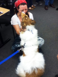 dog photo
