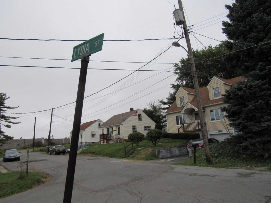 Lydia+Street%2C+where+a+2013+unsolved+homicide+occurred%2C+is+located+in+Richland+Township.+