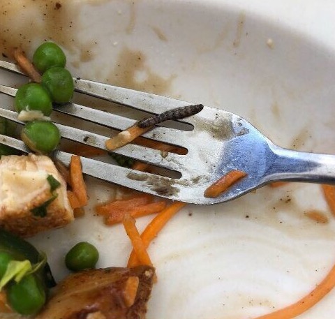 An unwanted ingredient was found in a student’s March 26 lunch.